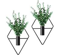 Cindeer 2 Jardinières Suspendues avec Plantes Artificielles, Eucalyptus | Vase Suspendu en Métal, Design Géométrique, Jardinières Murales, Pour Intérieur et Bureau, Design Moderne et Décoratif