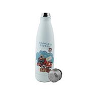Cinereplicas Harry Potter - Gourde Isotherme 500ml Acier Inoxidable - Licence Officielle (Poudlard Express)