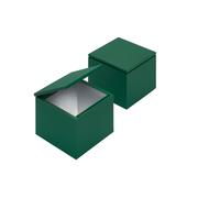 Cini & Nils Cuboluce Wireless Akku Tischleuchte, laque soie vert