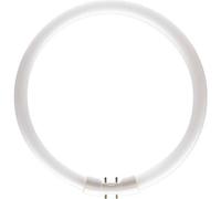 Philips TL5-C PRO Lampe fluorescente 22 W 830 - Philips 22 W Blanc chaud (14 x 220 mm)
