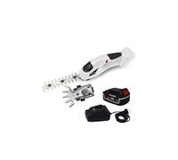 Cisaille de jardin portative - sculpteur de haies 2 en 1 - 20v - xperformer xpcsth20li - batterie 4ah et chargeur inclus G