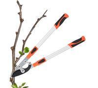 Cisailles De Jardin Manche Long Télescopique Coupe Taille