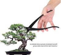 Ciseaux à bonsaï professionnels à lame arrondie - Outils de taille pour bonsaï - Ciseaux à bonsaï - Ciseaux de jardinage à lame arrondie