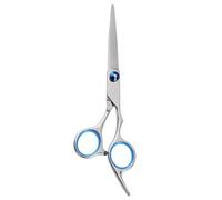 Ciseaux Acier Inoxydable Coiffure de Professionnels | Usage Maison ou Salon, Ciseaux Coiffeur Professionnel, Coupe Précise et Confortable, Finition Argenté