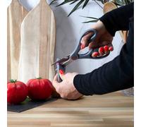 Ciseaux - cook concept - avec aiguiseur intégré - précision - gris