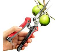 Ciseaux de jardin - Manche étendu en acier inoxydable denté antidérapante | Sécateur pour plantes | Pour jardin, pelouse, patio, entretien, tonte, plantes, fleurs et récolte de fruits
