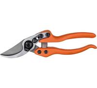 Ciseaux de jardinage professionnels à lame bypass en acier - revêtement antiadhésif - ciseaux légers et tranchants - à double tranchant - parfaits pour une coupe précise des fleurs et des branches