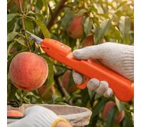 Ciseaux de récolte de fruits, poignée antidérapante, multifonction, anti-rayures, outil de cueillette de baies, ciseaux portables et robustes pour branches de fleurs (orange)