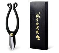 Ciseaux Ikebana Ikenobo, 165 mm, en acier au carbone, pour fleurs et branches