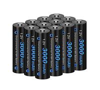 CITYORK Paquet de 12 Piles Rechargeables Ni-MH AA de 3000mAh, 1,2 V pour Lampes solaires avec étui