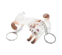 CIYODO Lot de 2 Porte-clés Souvenir Commémoratif pour Animaux de Compagnie, Boîte Transparente pour Poils de Chat, Accessoire Décoratif Léger, Présent Mémoire pour Amoureux des Chats