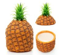 CKB Ltd Ananas Seau à glace Retro Hawaiian Fruit Centre à thème Piece - Utilisé Chill bouteilles pour les fruits Chopped Iced Desserts & plus 1500ml