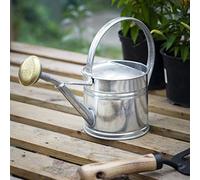 CKB LTD Arrosoir d'extérieur en acier galvanisé avec rosace en laiton pour grands petits jardins, fleurs et plantes 1,5 l