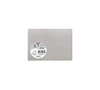 Clairefontaine 11389C - Paquet de 25 Cartes Simples - Format C6 11x15,5cm - 210g/m² - Coloris Argent - Cartons d'Invitation Evènements et Correspondance - Gamme Pollen - Papier Premium Lisse