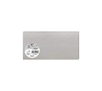 Clairefontaine 11589C - Paquet de 25 Cartes Simples - Format DL 10,6x21,3cm - 210g/m² - Coloris Argent - Cartons d'Invitation Evènements et Correspondance - Gamme Pollen - Papier Premium Lisse