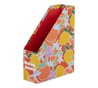 Clairefontaine 116274C Porte-revues carton Décor Agrumes Dolce Amore