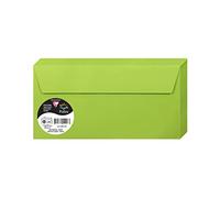 Paquet de 50 enveloppes Pollen 110x220mm 120g/m2 - Vert menthe