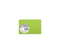Clairefontaine Cartes simples Pollen 82×128 mm 210 g/m² Vert menthe Paquet de 25