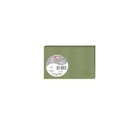 Clairefontaine 1470C - Paquet de 25 Cartes Simples - Format 8,2x12,8cm - 210g/m² - Coloris Vert Sauge - Cartons d'Invitation Evènements et Correspondance - Gamme Pollen - Papier Premium Lisse