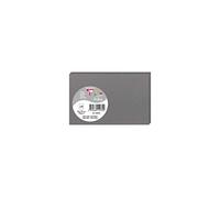 Paquet de 25 cartes simples Pollen 82x128mm 210g/m2 - Acier