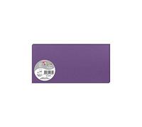 Clairefontaine 1537C - Paquet de 25 Cartes Simples - Format DL 10,6x21,3cm - 210g/m² - Coloris Violine - Cartons d'Invitation Evènements et Correspondance - Gamme Pollen - Papier Premium Lisse