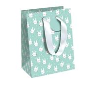 CLAIREFONTAINE 202120-3Cpack-Lot 6 sacs Moyen 21,5x10,2x25,3cm-210g-Lapin