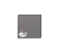 Clairefontaine 2153C - Paquet de 25 Cartes Doubles - Format Carré 16x16cm - 210g/m² - Coloris Gris Acier - Cartons d'Invitation Evènements et Correspondance - Gamme Pollen - Papier Premium Lisse