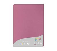 Clairefontaine 224281C - Étui de 25 Feuilles - Format A4 (21x29,7cm) - 210g/m² - Coloris Rose Hortensia - Papier d'Invitation Evènements et Correspondance - Gamme Pollen - Papier Premium Lisse