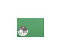 Sachet de 5 cartes pliées Pollen 110x155 210g/m2 - Vert sapin
