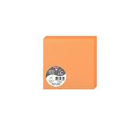 Clairefontaine 2836C - Paquet de 25 Cartes Doubles - Format Carré 13,5x13,5cm - 210g/m² - Coloris Clémentine - Cartons d'Invitation Evènements et Correspondance - Gamme Pollen - Papier Premium Lisse