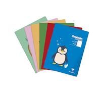 Clairefontaine 36750C - Lot 20 Cahiers Poésie Clairenfantine 24x32cm 48p GC