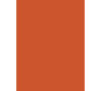 Clairefontaine 384558C - Paquet de 25 Feuilles de Papier Affiche Peinte 90g/m² - Format 60x80cm - Découpage, Ecriture, Collage - Loisirs Créatifs Adultes et Enfants - Coloris Orange
