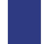 Clairefontaine 384563C - Paquet de 25 Feuilles de Papier Affiche Peinte 90g/m² - Format 60x80cm - Découpage, Ecriture, Collage - Loisirs Créatifs Adultes et Enfants - Coloris Bleu Marine