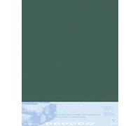 Clairefontaine 396009C Contrecollé Papier Pastelmat - 5 Feuilles Contrecollées Carte Spéciale pour Pastels Secs - 70x100 cm 360g 1,8 mm - Anthracite