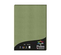 Etui de 50 feuilles Pollen 210x297 120g/m2 - Vert sauge