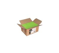 Clairefontaine Enveloppes auto-adhésives Pollen Carton 200 DL 110x220 mm 120 g/m² Vert menthe