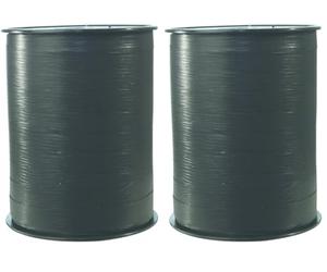 Clairefontaine 601529C - Une bobine de Ruban Bolduc Mat - 250mx10mm - Noir - Ruban décoratif cadeau, DIY, Emballage Cadeau (Lot de 2)
