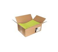 Clairefontaine 7026C - Carton de 200 Pochettes Auto-Adhésives en Vrac - 22,9x32,4cm - 120g/m² - Coloris Vert Bourgeon - Invitation Evènements et Correspondance - Gamme Pollen - Papier Premium Lisse