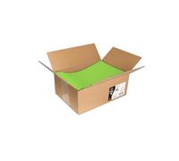 Clairefontaine 7055C - Carton de 200 Pochettes Auto-Adhésives en Vrac - Format 22,9x32,4cm - 120g - Coloris Vert Menthe - Invitation Evènements et Correspondance - Gamme Pollen - Papier Premium Lisse