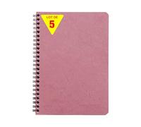 Clairefontaine 785666Cpack Nomaddict Lot 5 Carnets à Pochettes Rose