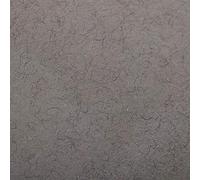Clairefontaine 93862C Paquet Papier Etival Color - 25 Feuilles Papier Dessin à Grain Gris Chiné - A4 21x29,7 cm 160g - Idéal pour le Dessin et les Activités Créatives