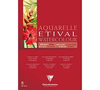 Etival bloc collé 1 côté 10F A3 200g grain classic