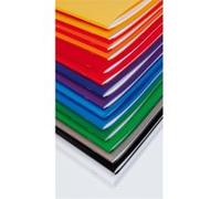Clairefontaine 981412c Cahier avec rabat polypropylène transparent 24 x 32 96 pages séyès Couverture bleu G