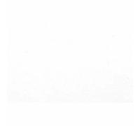 Clairefontaine Carton Charm's Goldline - A3 (10 Feuilles)