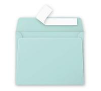 Paquet de 20 enveloppes Pollen 90x140mm 120g/m2 - Vert Jade