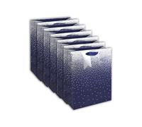 Clairefontaine Excellia 30861-2Cpack Set of 6 Large Gift Bags 26.5 x 14 x 33 cm