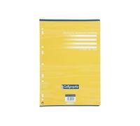 Feuillets mobiles sous film 7000 A4 100 pages perforées grands carreaux 80 g