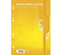 Calligraphe Feuillets mobiles sous film 7000 A4 100 pages perforées grands carreaux 80 g