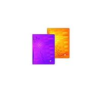 Clairefontaine Metric Lot De 2 Cahier Grands Carreaux Sans Spirales Avec Couverture Polypropylène A4 Coloris Assortis