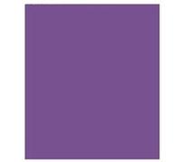 Clairefontaine Papier cadeau Kraft 95711C – Rouleau 3 x 0,70 m – Recyclé 65 g – Violet